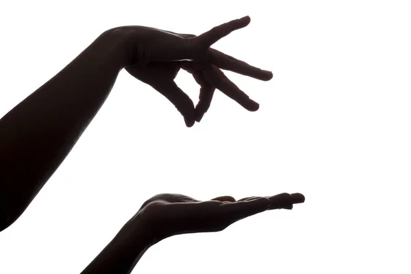 Silhouette weiblicher Hände, die etwas über der Hand auf einem isolierten weißen Hintergrund halten — Stockfoto
