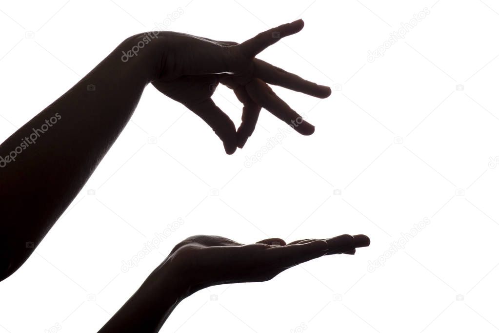silhouette of female hands holding something over hand on an isolated white background