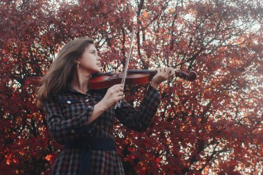 Kırmızı yapraklı arka planda keman çalan güzel genç bir kadın, doğada müzik aleti çalan romantik bir kız, açık havada müzik performansı, sanatta hobi ve tutku kavramı.