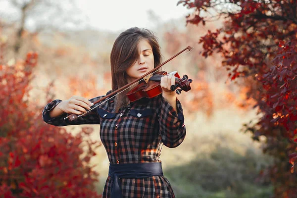 Kırmızı yapraklı arka planda keman çalan güzel genç bir kadın, doğada müzik aleti çalan romantik bir kız, açık havada müzik performansı, sanatta hobi ve tutku kavramı.