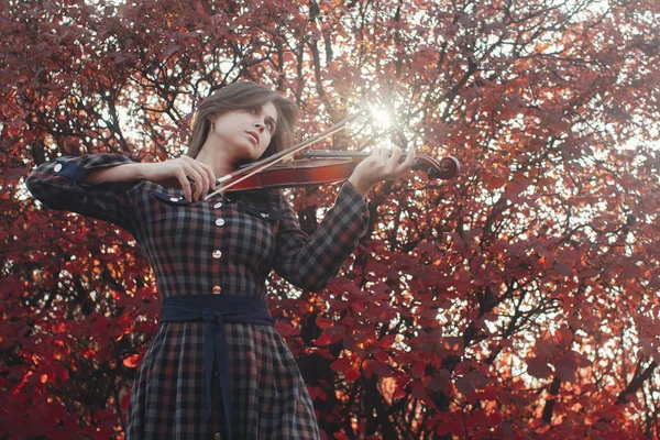 beautiful young woman playing violin on a background of red foliage, romantic girl in dress playing a musical instrument in nature, musical performance outdoors, concept of hobby and passion in art
