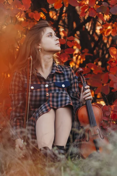 Retrato de otoño de una hermosa joven sentada en el suelo con un violín sobre un fondo de hojas rojas de otoño y mirando hacia arriba, concepto de hobby y música — Foto de Stock