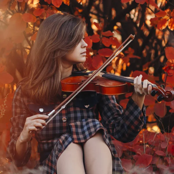 Hermosa joven sentada en el suelo con un violín sobre un fondo de arbusto rojo, chica en vestido que lleva el arco a lo largo de las cuerdas de instrumento musical en la naturaleza, un concepto de hobby y arte — Foto de Stock