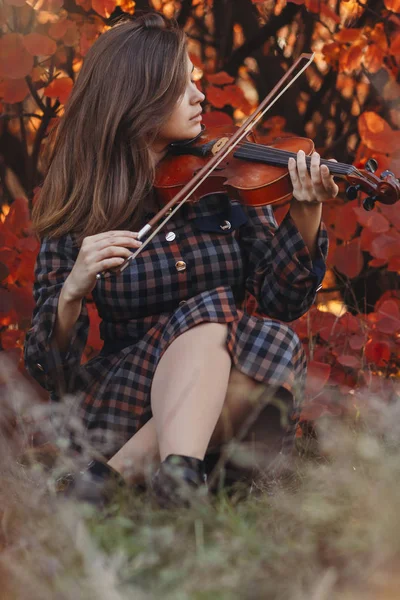 Herfst portret van een mooie vrouw zittend op de grond met een viool onder de kin op een achtergrond van rood gebladerte, meisje genieten van geluid van muziekinstrument, een concept van passie in de kunst — Stockfoto