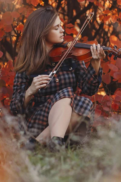 Retrato de otoño de una hermosa mujer sentada en el suelo con un violín bajo la barbilla sobre un fondo de follaje rojo, chica dedicada a tocar un instrumento musical en la naturaleza, un concepto de pasión en el arte — Foto de Stock