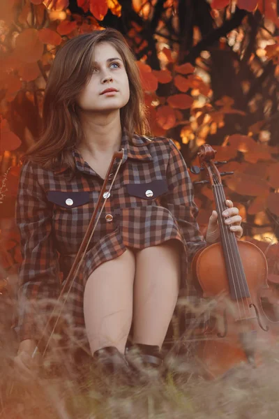 美丽的年轻女子，背负着红叶背景的小提琴坐在地上，穿着自然赋予的创意活动、业余爱好和音乐的浪漫女子 — 图库照片