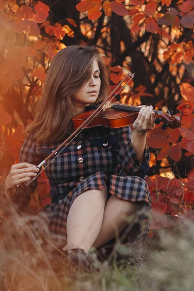 秋天的肖像，美丽的女人坐在地上，下巴下夹着小提琴，背景是红叶，姑娘们正在欣赏乐器的声音，这是一种艺术激情的概念 — 图库照片
