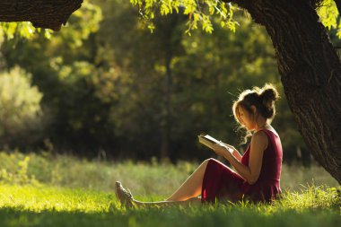 Güzel bir kızın güneşli portresi, ağaç dallarının altında oturmuş kitap okuyor, doğa, kavram hobisi ve yaşam tarzı üzerine roman okuyor.