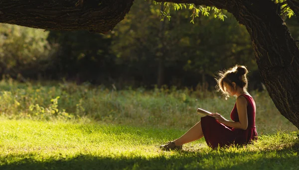 Ritratto soleggiato di una bella ragazza seduta su radura verde sotto un arco di rami d'albero con libro, donna che legge romanzo sulla natura, concetto hobby e stile di vita — Foto Stock