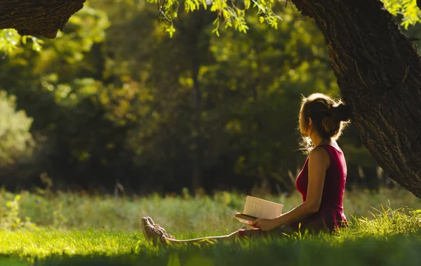 Retrato ensolarado de uma bela menina sentada na clareira verde sob um arco de galhos de árvore com livro, mulher ler romance sobre a natureza, hobby conceito e estilo de vida — Fotografia de Stock