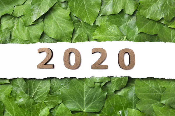wooden figure of the date 2020 on line of white cardboard n tropical background, new year concept on natural layout made of leaves, calendar cover design