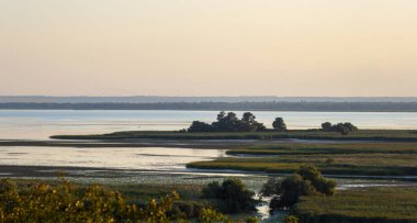 Güzel bir manzara, kamış bitki ve çalılardan oluşan adaları olan bir nehir, Güney Ukrayna 'nın doğası.
