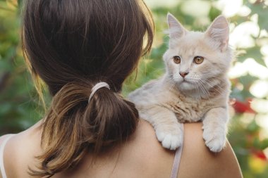 Bir kızın ellerinde sevimli bir kedi, omzunda kızıl bir kedi, yaz bahçesinde yürüyen bir kadın ve bir kedi.