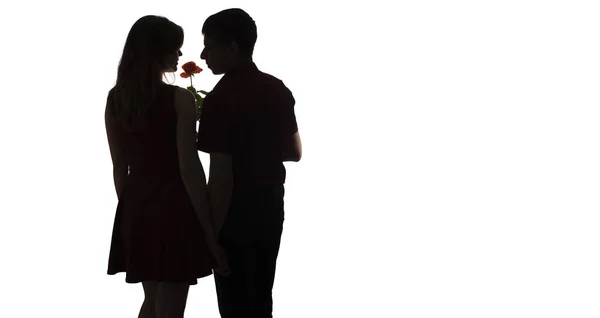 Silhouette eines jungen verliebten Paares auf weißem, isoliertem Hintergrund, ein Mann mit einer Rosenblume für eine Frau, Konzeptromantik in der Familie — Stockfoto