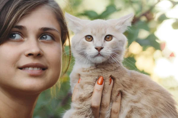 Ładny kotek w ramionach dziewczyny, rudy kot bierze pieszczoty z kobiecych rąk, kobieta i kot spaceruje w letnim ogrodzie — Zdjęcie stockowe