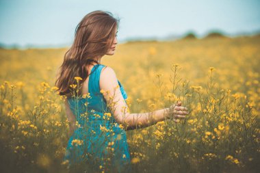 Güzel romantik kız kolza tohumu tarlasında Doğanın tadını çıkarıyor, genç zarif kadın yürüyor