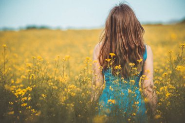 Güzel romantik kız çiçek açan kolza tohumu tarlasında doğanın tadını çıkarıyor, zarif bir kadın uzun ve zarif bir elbiseyle yürüyor.