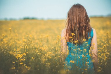 Güzel romantik kız çiçek açan kolza tohumu tarlasında doğanın tadını çıkarıyor, zarif bir kadın uzun ve zarif bir elbiseyle yürüyor.