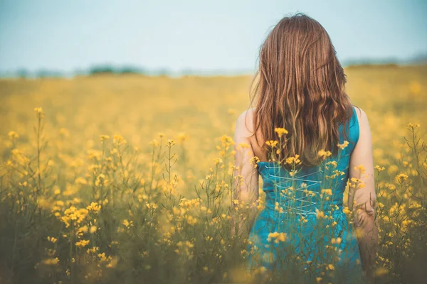 Güzel romantik kız çiçek açan kolza tohumu tarlasında doğanın tadını çıkarıyor, zarif bir kadın uzun ve zarif bir elbiseyle yürüyor.