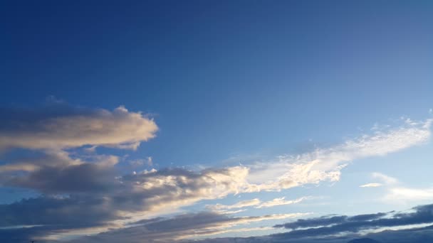 Hermoso Fondo Nubes Líneas Claramente Visibles Nubes Blancas Cielo Azul — Vídeo de stock