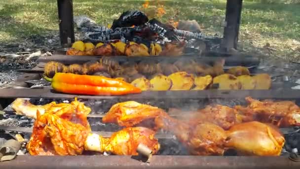Гриль Ефірі Смажена Курка Картопля Перець Вогні Приготування Їжі Літній — стокове відео