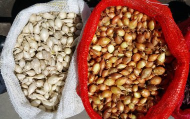 Soğan tohumları beyaz ve turuncu-altın sarısı ağ torbalarıdır. Yukarıdan ve yakın mesafeden görüntü. Tarım ürünleri ekmek için. Tarım işleriniz için arkaplan resmi.