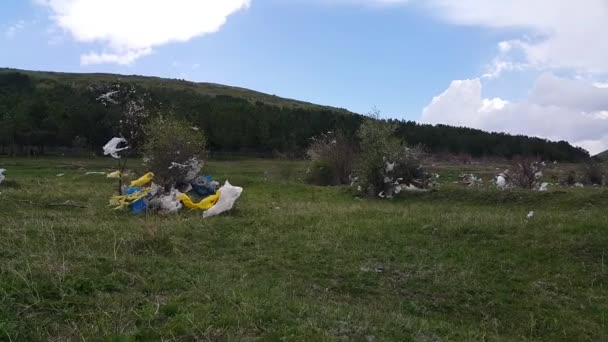Sacos Plástico Floresta Nas Árvores Movem Vento Muito Lixo Natureza — Vídeo de Stock