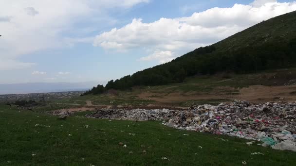 Vertedero Basura Bosque Naturaleza Está Lejos Aldea Aspectos Sociales Relacionados — Vídeo de stock