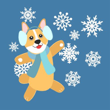 Kış giysileri içinde kar taneleriyle Corgi