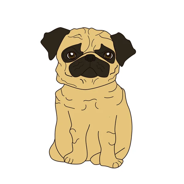 Ilustración Una Linda Raza Perro Pug —  Fotos de Stock