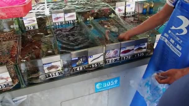 Hainan China Mar 2019 Pescadero Saca Pescado Vivo Para Cliente — Vídeos de Stock