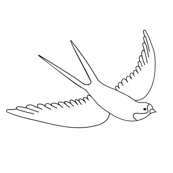 Hand Drawn Bird Isolated White Background Swallow Icon Line Art — 스톡 사진