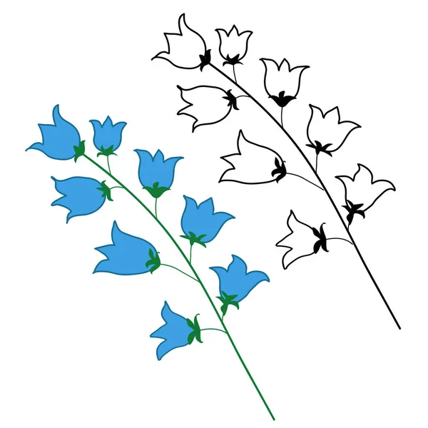 Λουλούδι Καμπάνας Απομονωμένο Λευκό Φόντο Χειροποίητο Λουλούδι Περιγράμματα Λουλουδιών Στυλ — Φωτογραφία Αρχείου