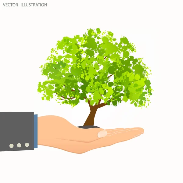 Hand Holding Tree Tree Palm Your Concept Ecology Planet Eco — Stock Photo, Image