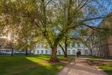 Vilnius 'ta yaprakların arasından akşam güneşleri