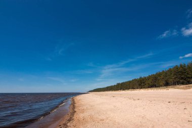 Baltık sahili kumulları