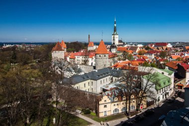 Tallin 'in eski şehir merkezinin panoraması