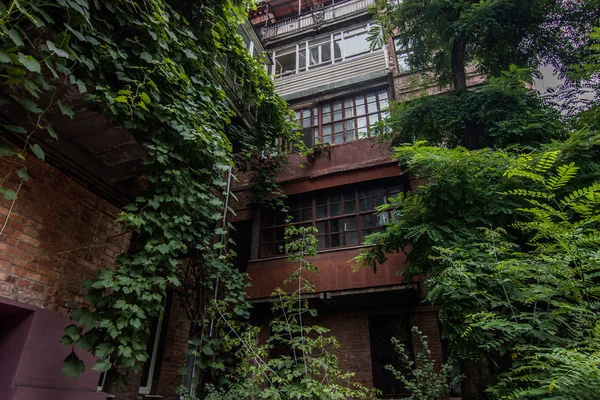 Gård med balkong och växter — Stockfoto