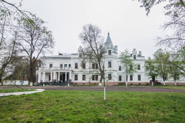 Tereschenko Sarayı Fransız Rönesans Diriliş Mimarisi tarzında. Andrushivka, Zhytomyr Oblastı, Ukrayna