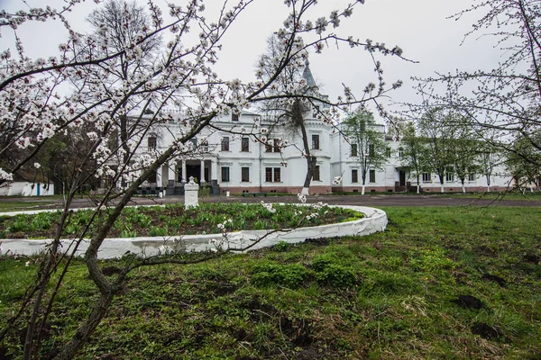 Palácio Tereschenko Estilo Arquitetura Renascentista Francesa Andrushivka Oblast Zhytomyr Ucrânia — Fotografia de Stock