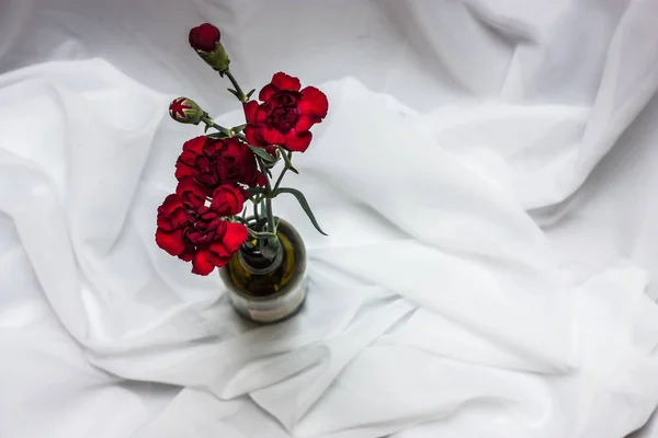 绿色玻璃瓶中红色康乃馨的花束 — 图库照片
