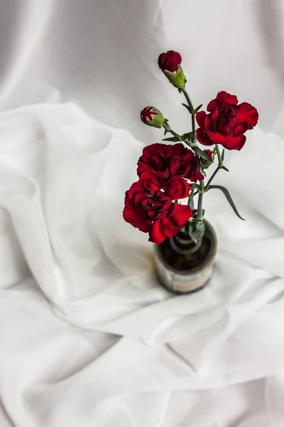 Still life of bouquet from red carnations in green glass bottle — Stock Photo, Image