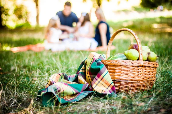 带着毛毯和梨子的野餐篮在草地上 在Bokeh的家人面前 免版税图库图片