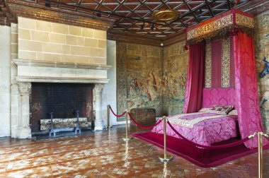 Lüks iç Chenonceau kale