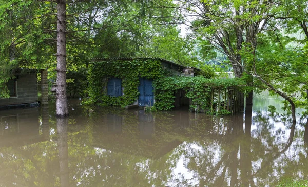 У затопленій сільській місцевості — стокове фото