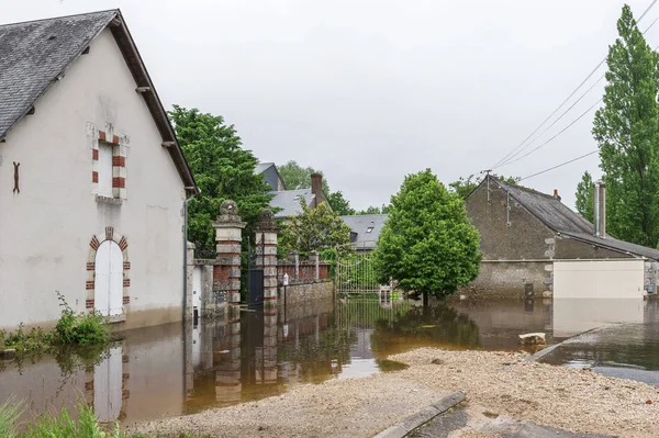 No campo inundado — Fotografia de Stock