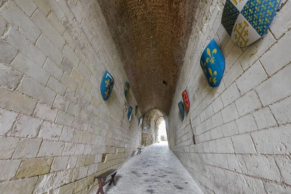 A la entrada del castillo de Bloise — Foto de Stock