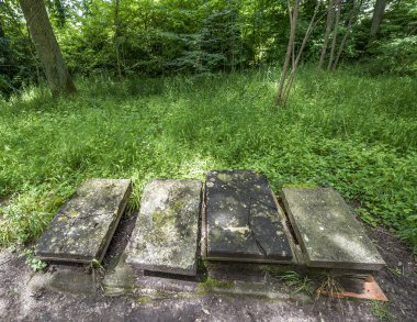 Hayvan Mezarlığı'nda