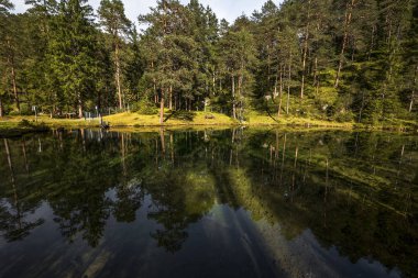 Avusturyalı alpine göl Güzellik