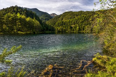 Avusturyalı alpine göl Güzellik